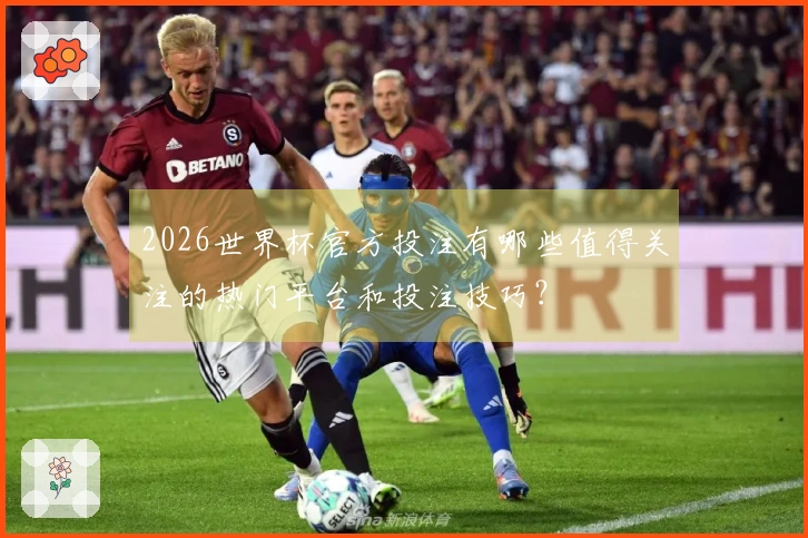 2026世界杯官方投注有哪些值得关注的热门平台和投注技巧？