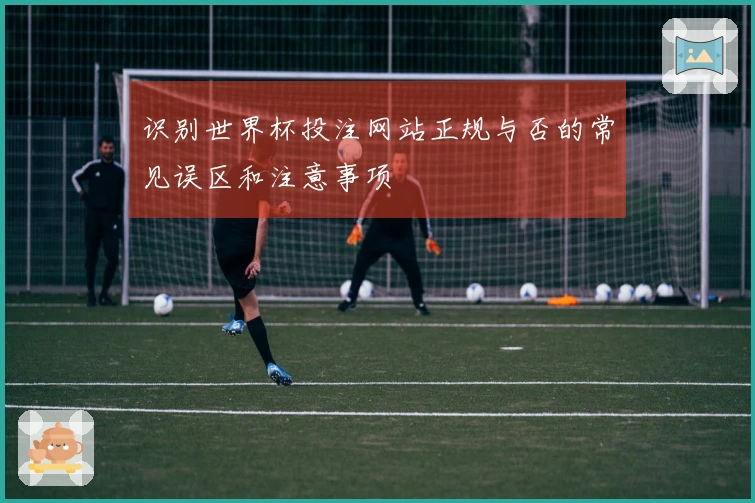 识别世界杯投注网站正规与否的常见误区和注意事项