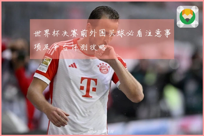 世界杯决赛前外围买球必看注意事项及平台评测攻略