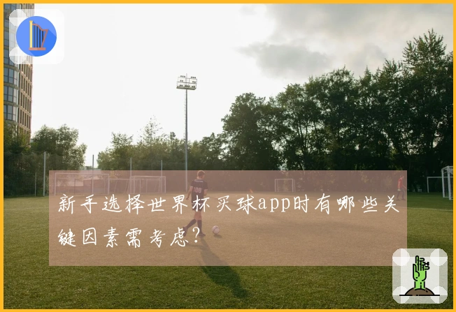 新手选择世界杯买球app时有哪些关键因素需考虑？