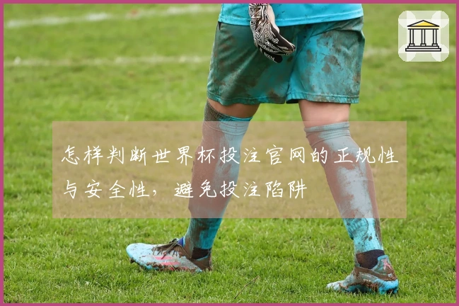 怎样判断世界杯投注官网的正规性与安全性，避免投注陷阱
