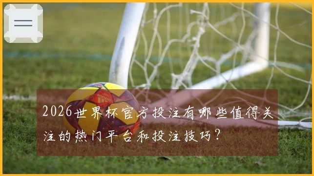 2026世界杯官方投注有哪些值得关注的热门平台和投注技巧？