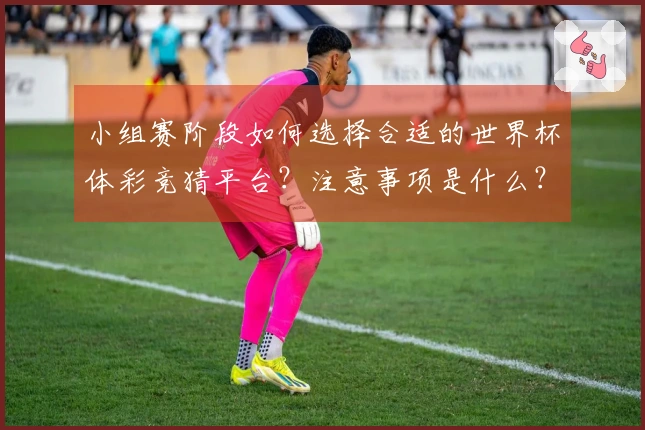 小组赛阶段如何选择合适的世界杯体彩竞猜平台？注意事项是什么？