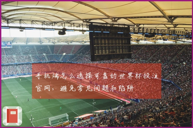 手机端怎么选择可靠的世界杯投注官网，避免常见问题和陷阱