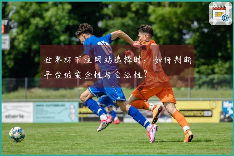 世界杯下注网站选择时，如何判断平台的安全性与合法性？