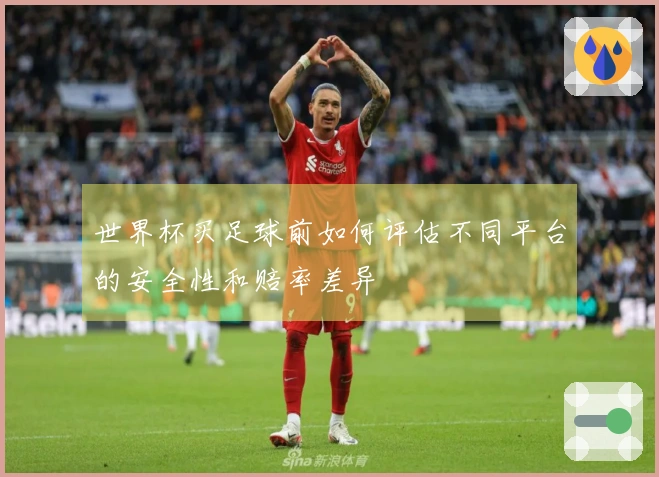 世界杯买足球前如何评估不同平台的安全性和赔率差异
