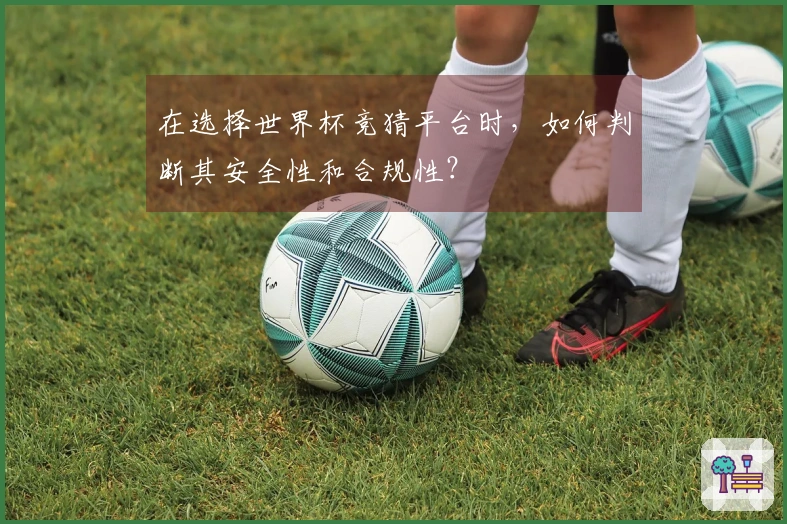 在选择世界杯竞猜平台时，如何判断其安全性和合规性？