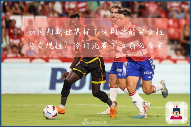 如何判断世界杯下注网站的安全性与合规性？冷门比赛下注前必看要点