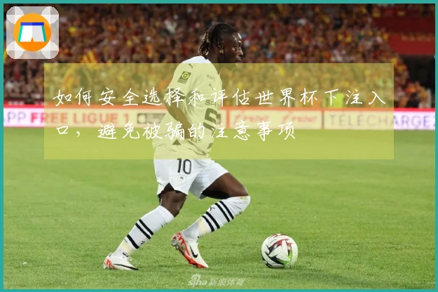 如何安全选择和评估世界杯下注入口，避免被骗的注意事项