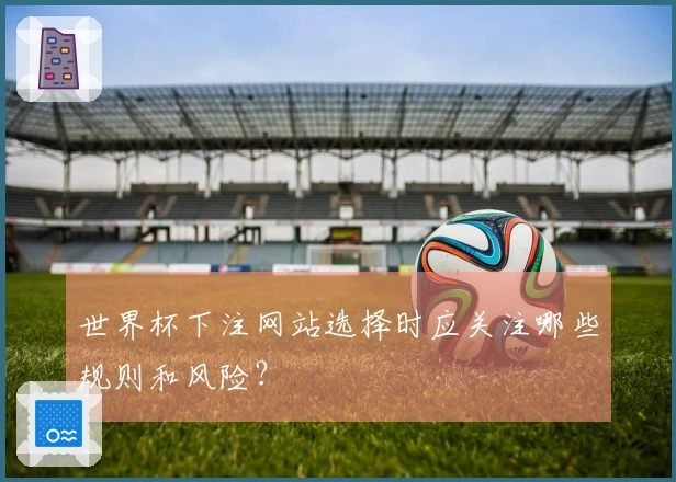 世界杯下注网站选择时应关注哪些规则和风险？