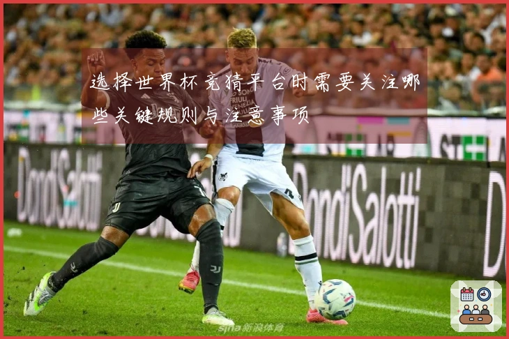 选择世界杯竞猜平台时需要关注哪些关键规则与注意事项