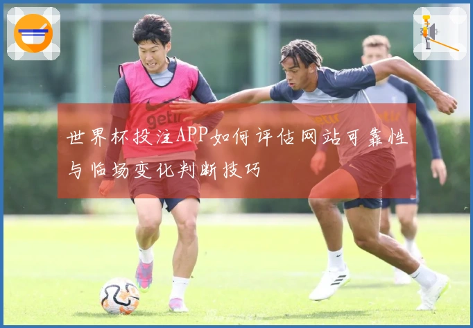 世界杯投注APP如何评估网站可靠性与临场变化判断技巧