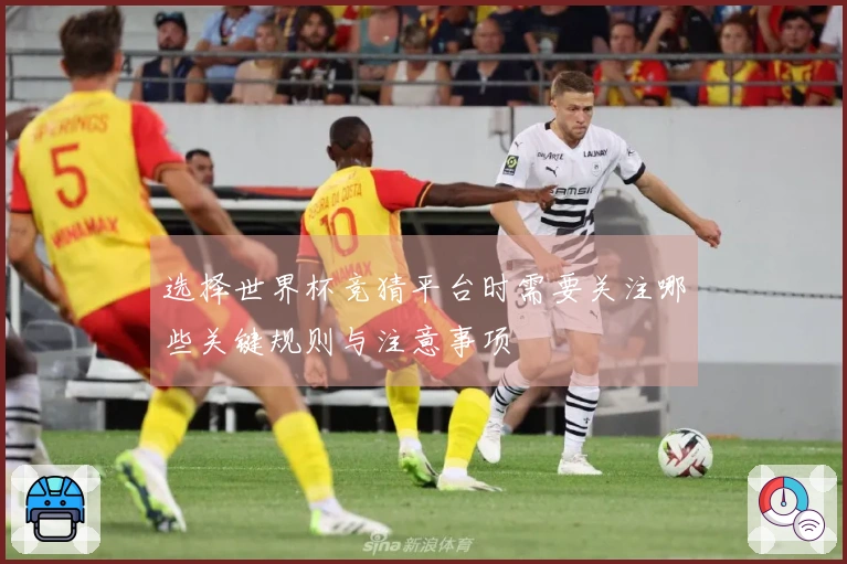 选择世界杯竞猜平台时需要关注哪些关键规则与注意事项