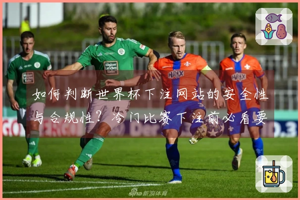 如何判断世界杯下注网站的安全性与合规性？冷门比赛下注前必看要点