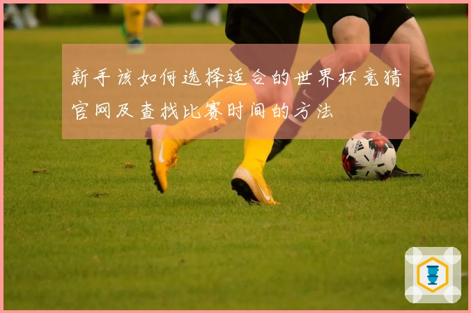 新手该如何选择适合的世界杯竞猜官网及查找比赛时间的方法