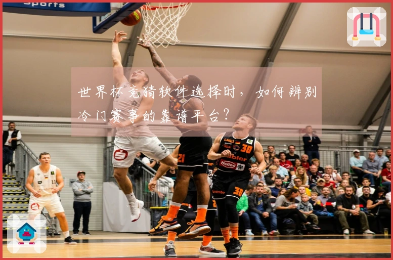 世界杯竞猜软件选择时，如何辨别冷门赛事的靠谱平台？