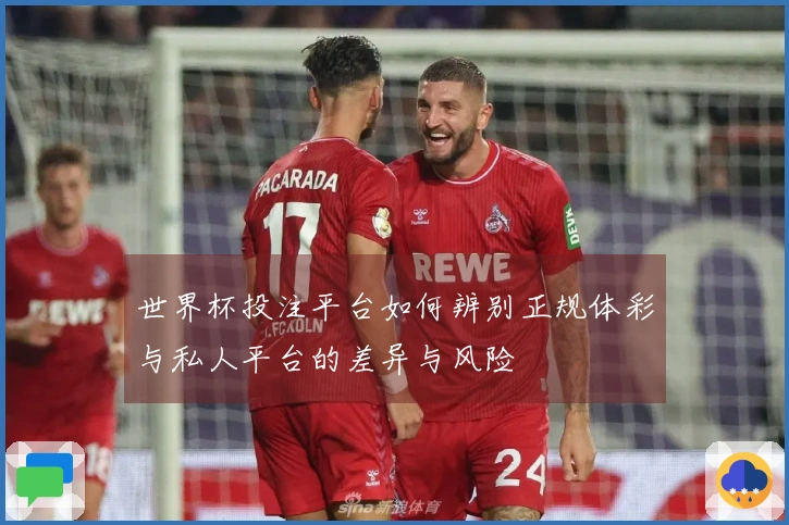 世界杯投注平台如何辨别正规体彩与私人平台的差异与风险