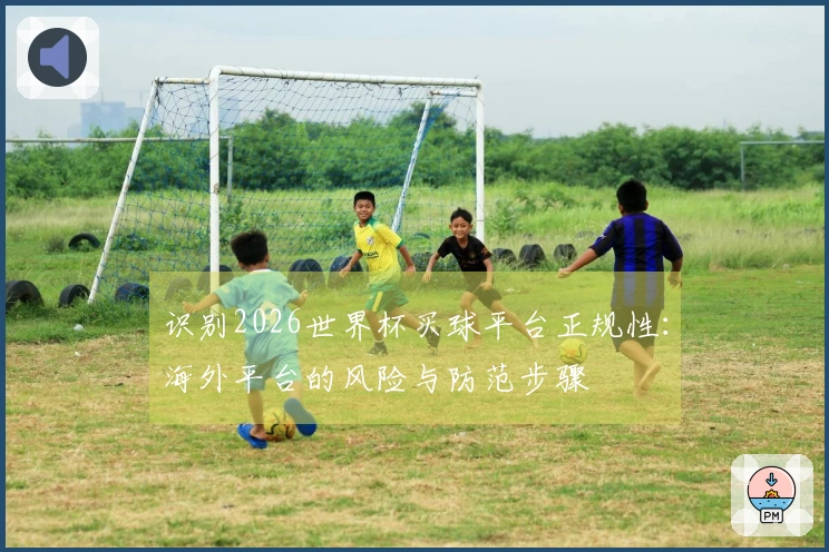识别2026世界杯买球平台正规性：海外平台的风险与防范步骤