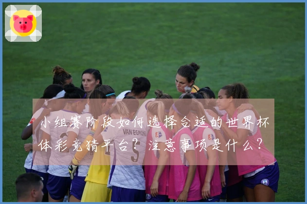 小组赛阶段如何选择合适的世界杯体彩竞猜平台？注意事项是什么？