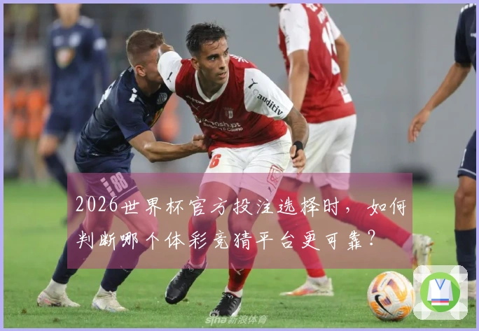 2026世界杯官方投注选择时，如何判断哪个体彩竞猜平台更可靠？