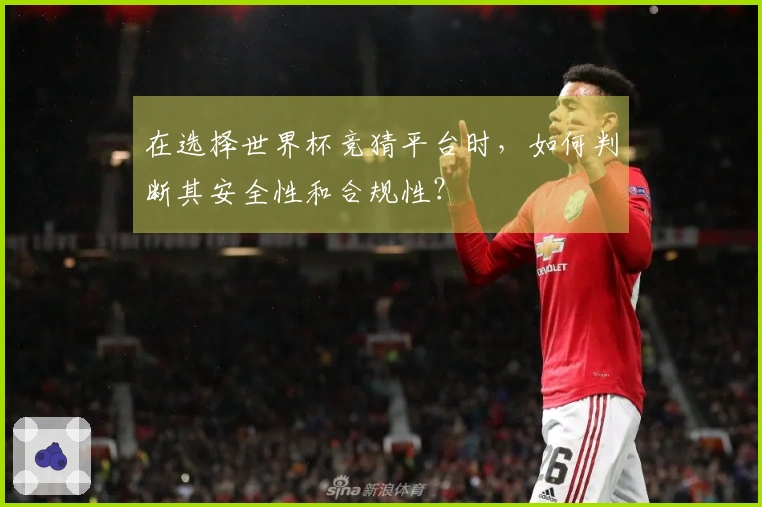 在选择世界杯竞猜平台时，如何判断其安全性和合规性？