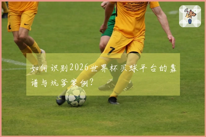 如何识别2026世界杯买球平台的靠谱与坑爹案例？