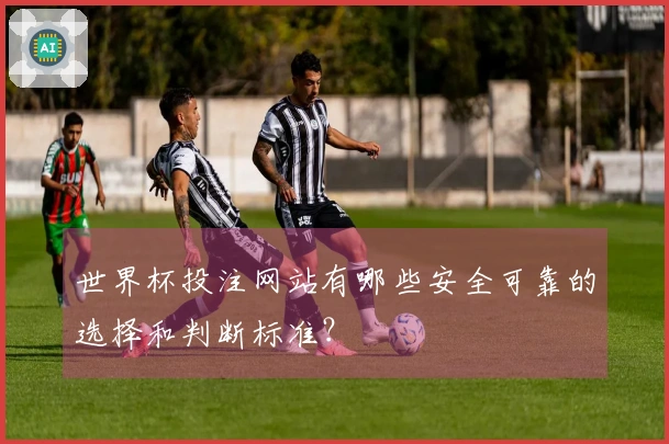 世界杯投注网站有哪些安全可靠的选择和判断标准？
