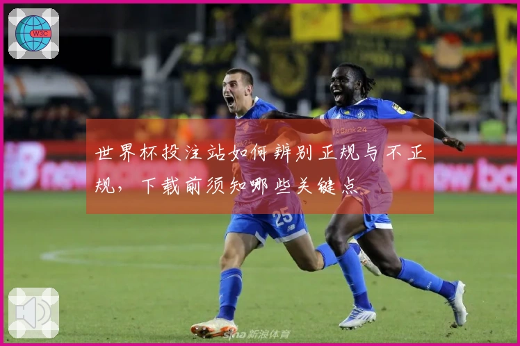 世界杯投注站如何辨别正规与不正规，下载前须知哪些关键点
