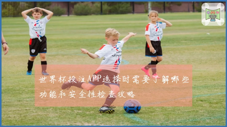 世界杯投注APP选择时需要了解哪些功能和安全性检查攻略